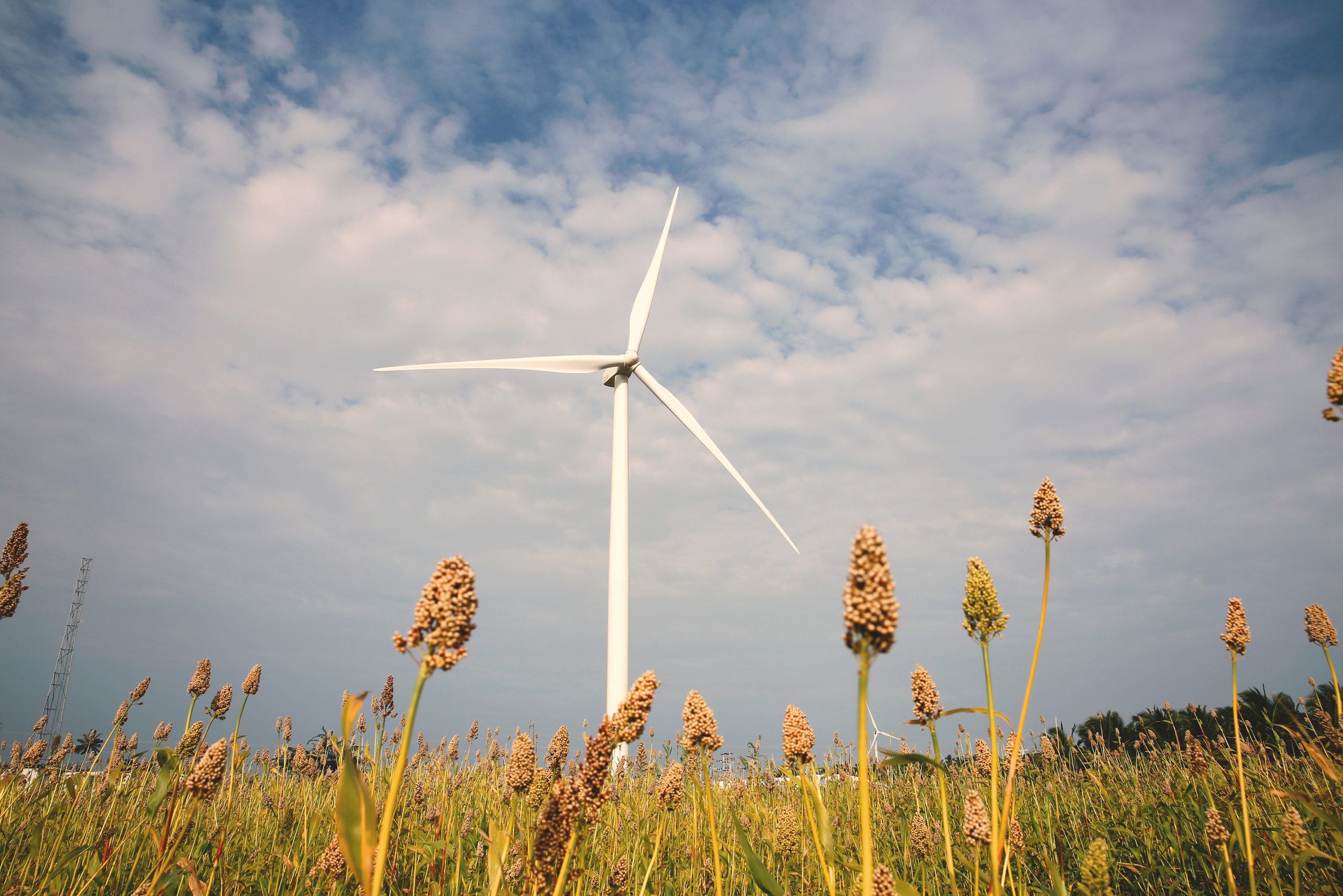 Wind-Turbine-Generator-Unit